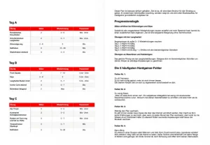Hardgainer Trainingsplan PDF